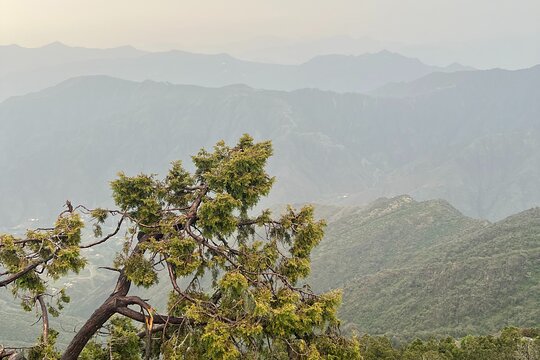 Tour image 7